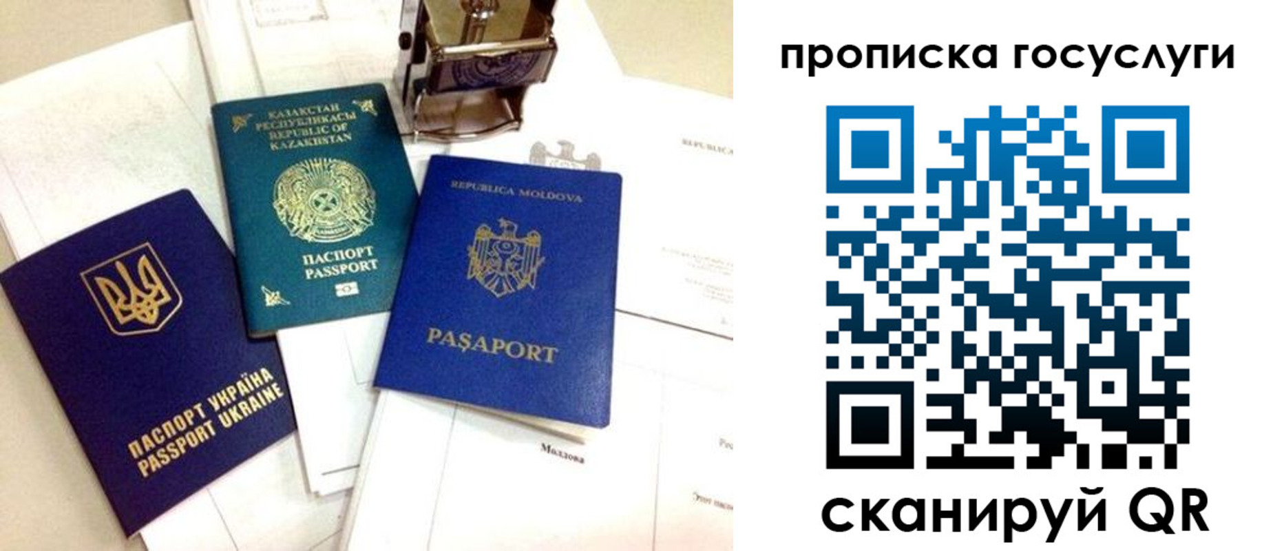 найти адрес прописки в Ельне